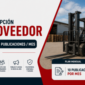 10 Publicaciones / Mes (Proveedor)